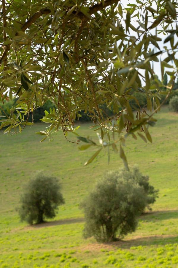 San Rocco Country House Pesaro Luaran gambar